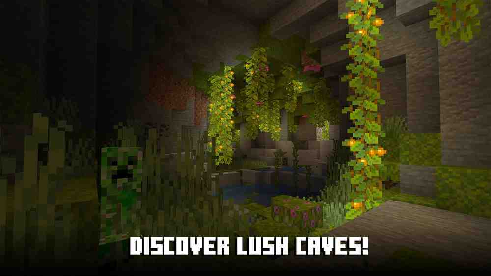 Minecraft 1.19.0 Image